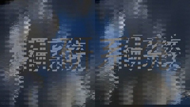 科研系统