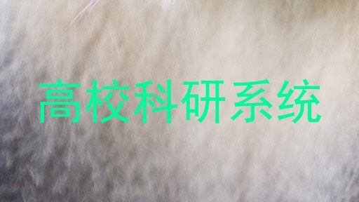 高校科研系统