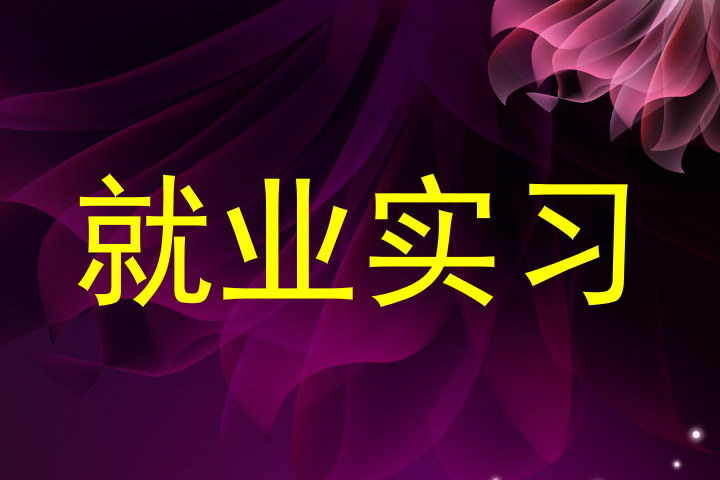 就业实习