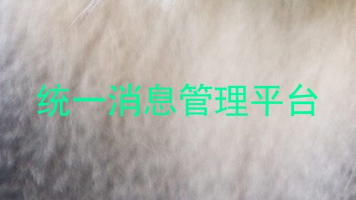 统一消息管理平台
