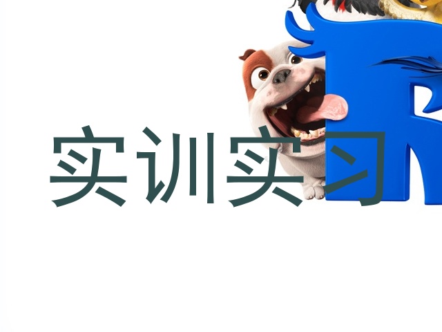 实训实习