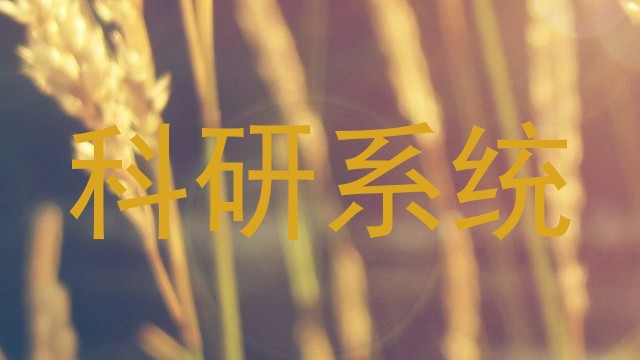 科研系统
