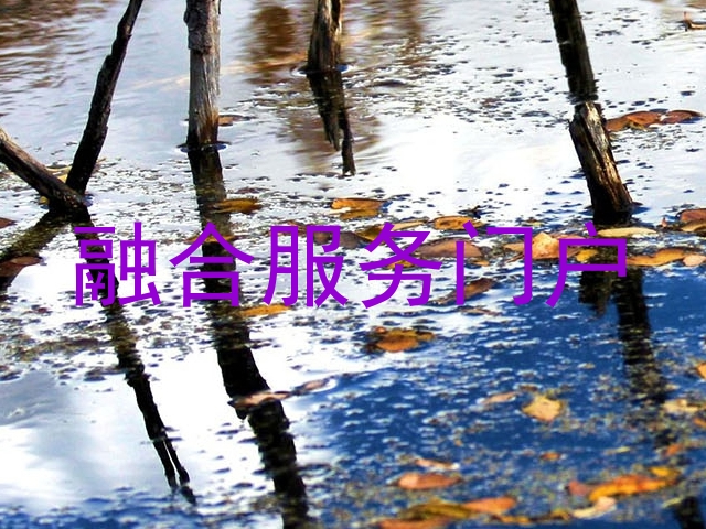 融合服务门户