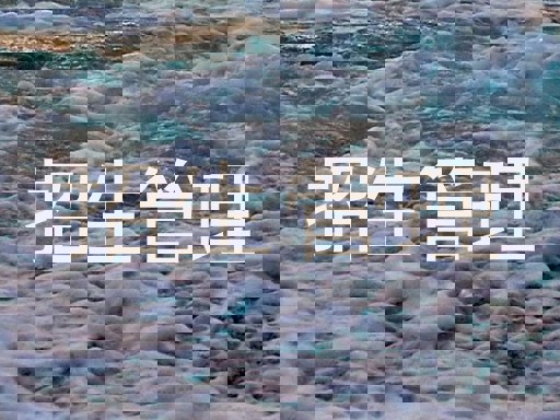 招生管理