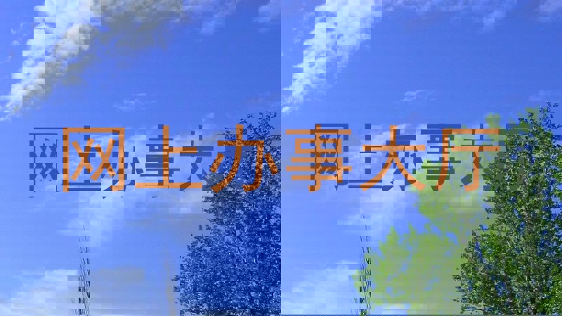 网上办事大厅