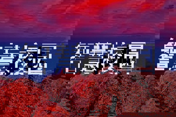 智慧校园