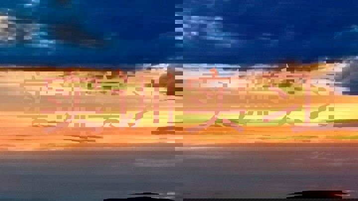 实训实习