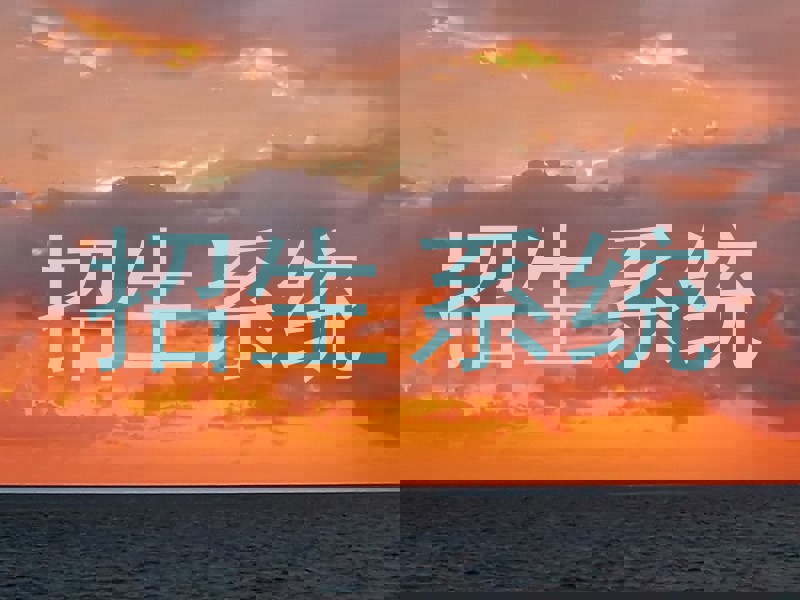 招生系统