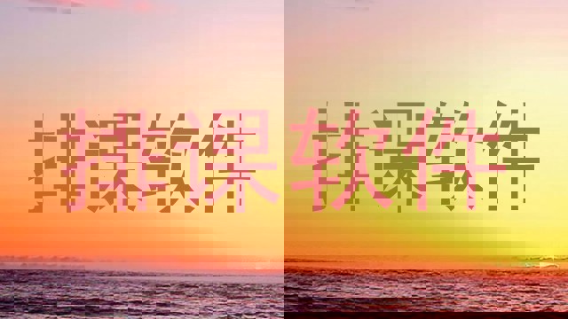 排课软件