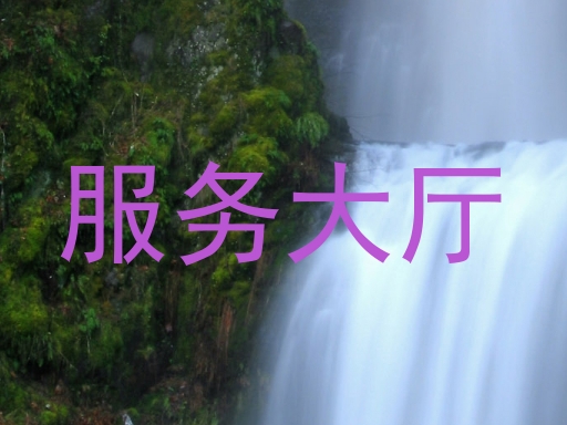 服务大厅