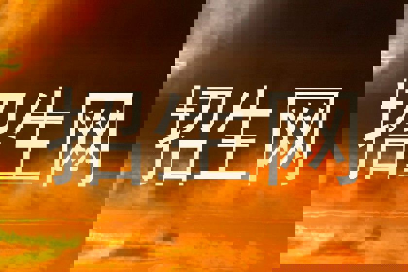 招生网