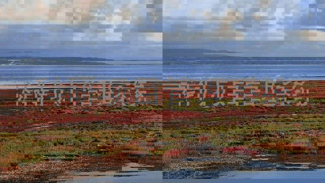 科研项目管理系统