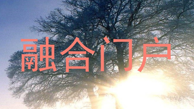 融合门户