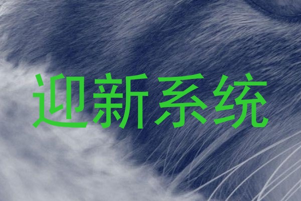 迎新系统