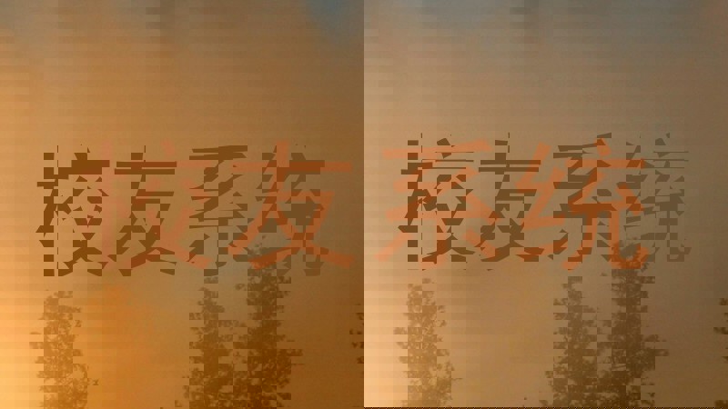 校友系统