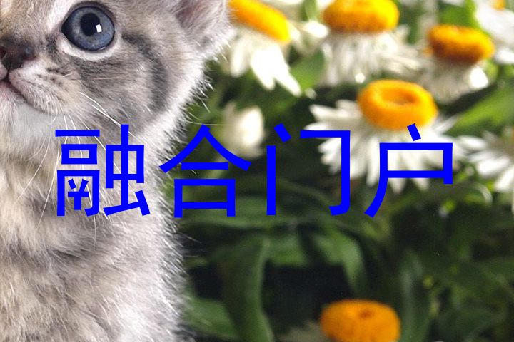 融合门户