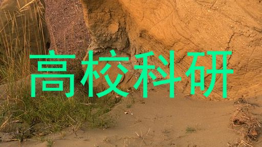 高校科研