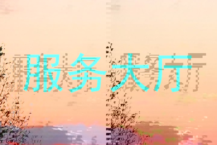服务大厅