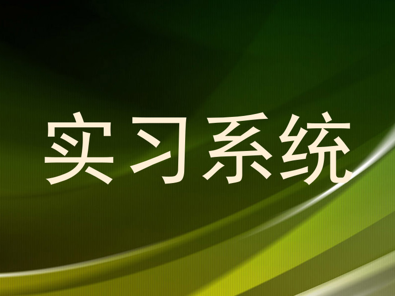 实习系统
