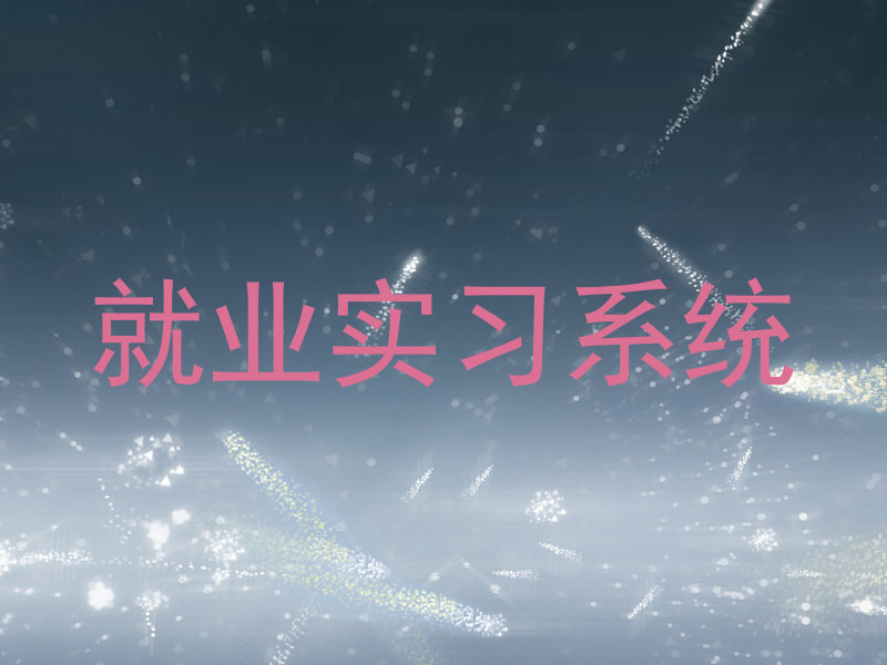 就业实习系统