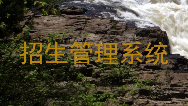 招生管理系统