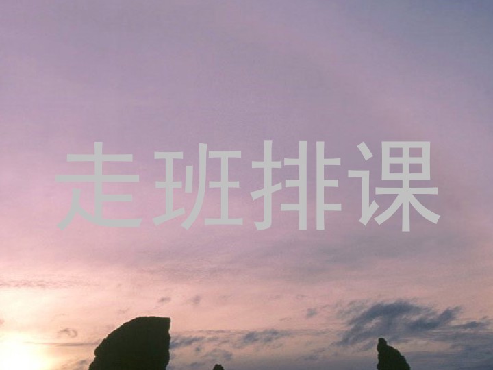 走班排课