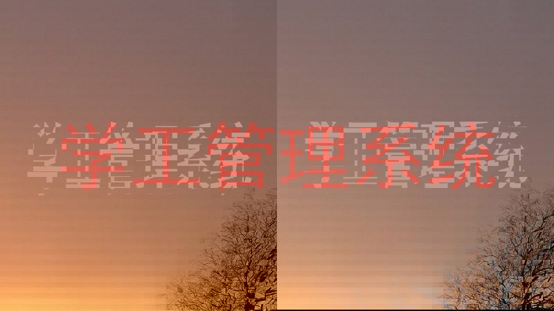 学工管理系统