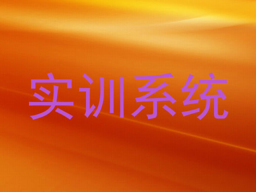 实训系统