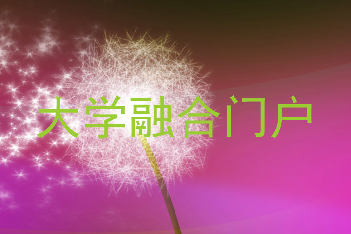大学融合门户