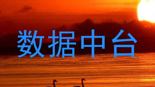 数据中台