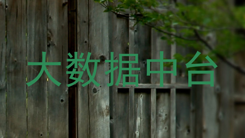 大数据中台