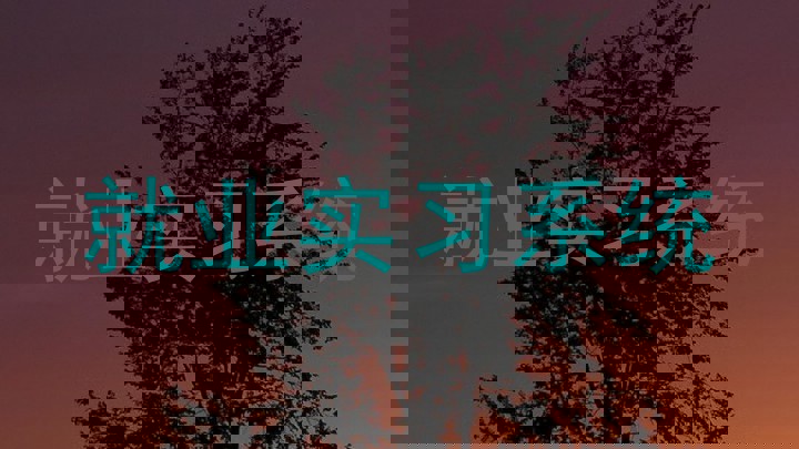 就业实习系统