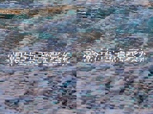 研究生信息管理系统