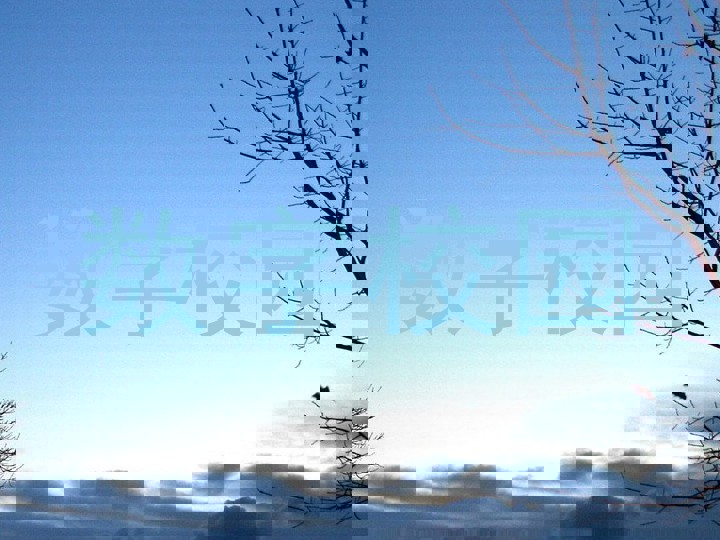 数字校园
