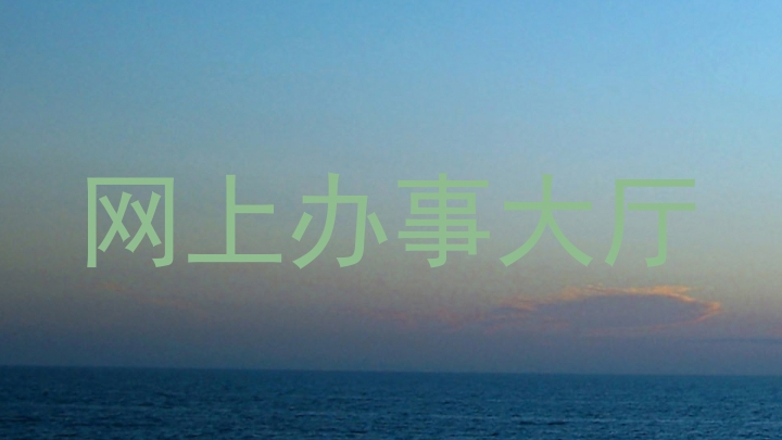 网上办事大厅