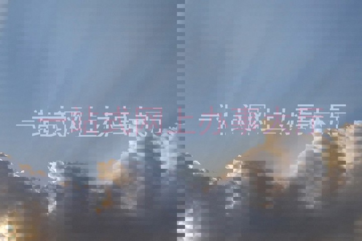 一站式网上办事大厅