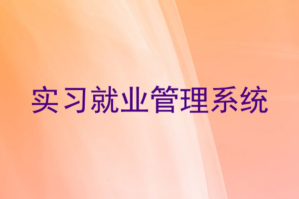 实习就业管理系统