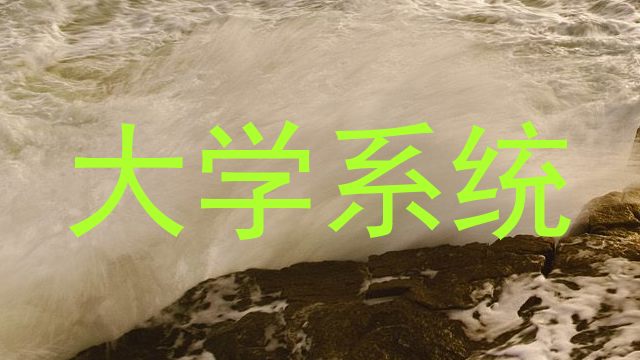 大学系统