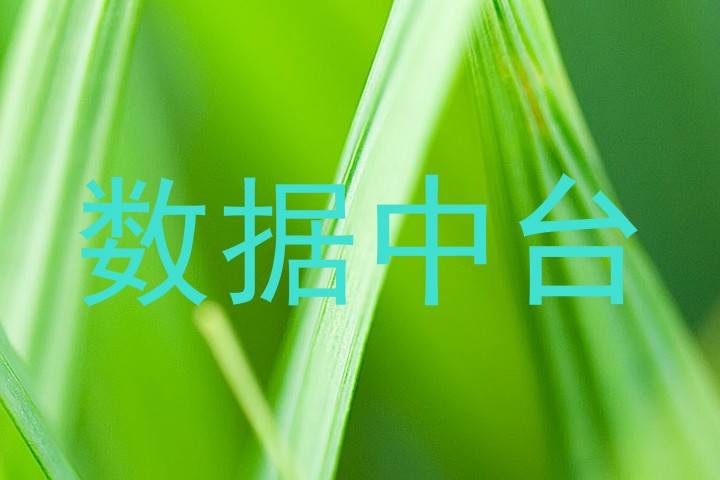 数据中台