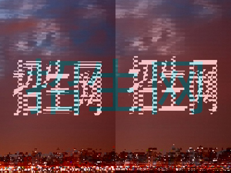 招生网