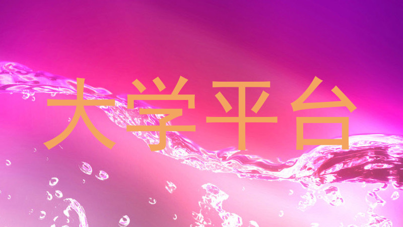 大学平台