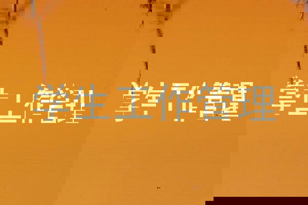 学生工作管理