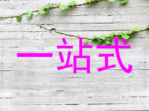 一站式