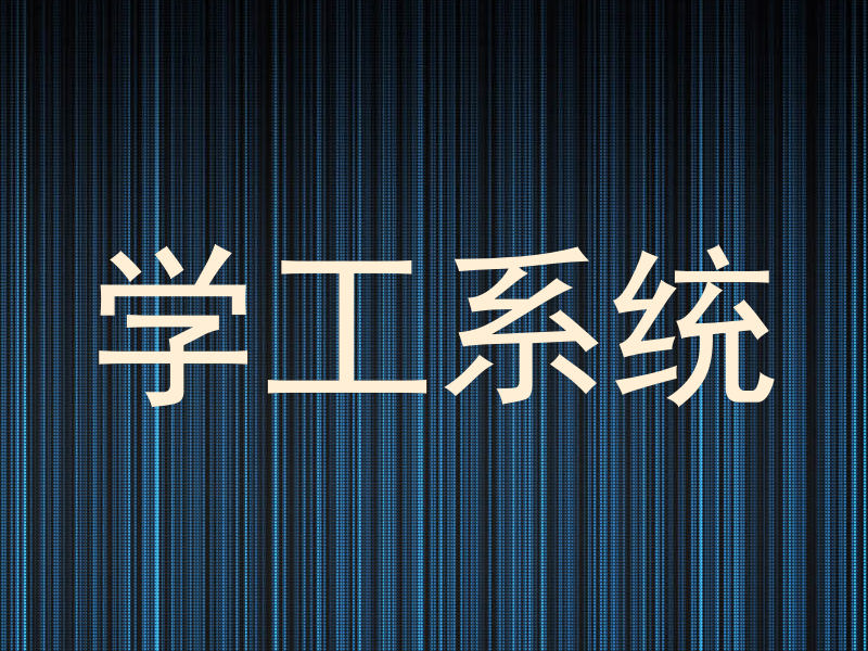 学工系统