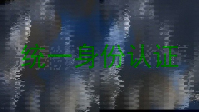 统一身份认证
