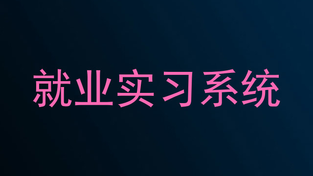 就业实习系统