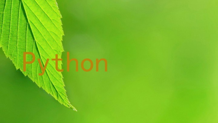 Python