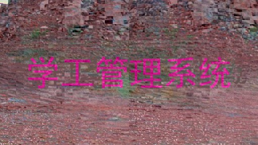 学工管理系统