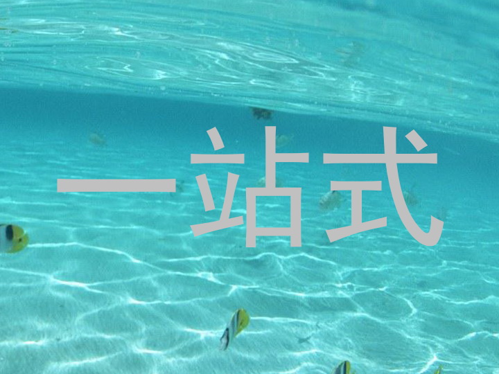 一站式