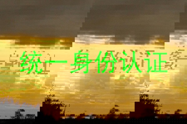 统一身份认证